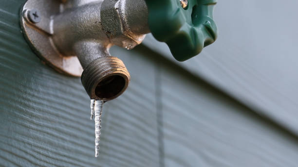 Best Shower Repair Services  in Pomona, KS